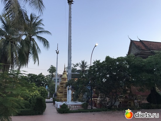 38 ����: ������ 2017. ��������