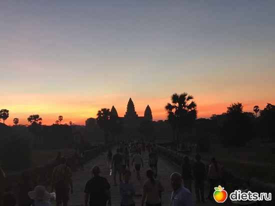 39 ����: ������ 2017. ��������