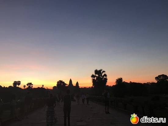 41 ����: ������ 2017. ��������