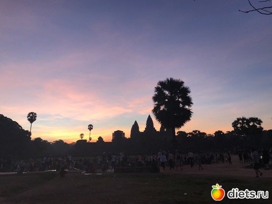 42 ����: ������ 2017. ��������