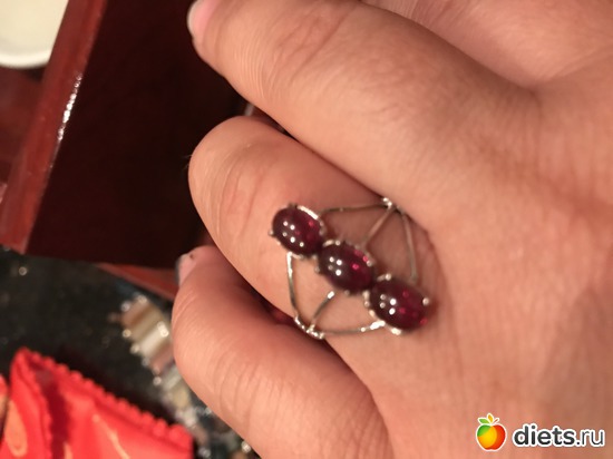 704 ����: ������ 2017. ��������