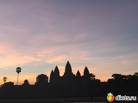 44 ����: ������ 2017. ��������