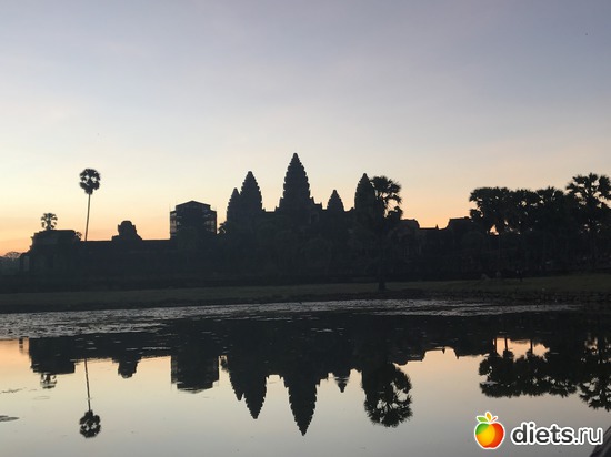 49 ����: ������ 2017. ��������