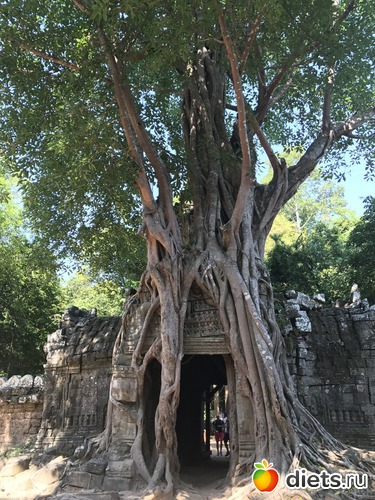 238 ����: ������ 2017. ��������