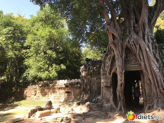 239 ����: ������ 2017. ��������