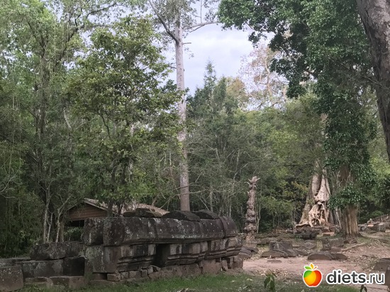 536 ����: ������ 2017. ��������