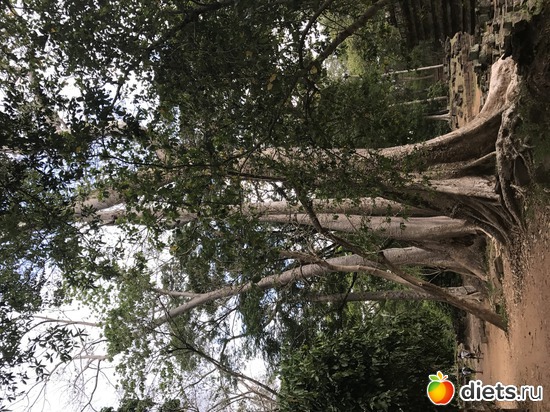 537 ����: ������ 2017. ��������