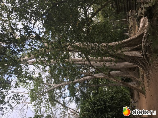 538 ����: ������ 2017. ��������