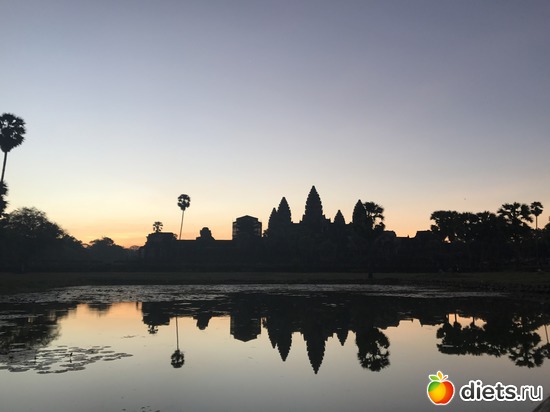 51 ����: ������ 2017. ��������