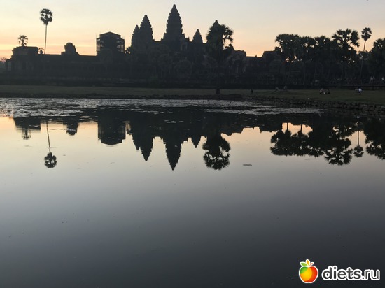 54 ����: ������ 2017. ��������