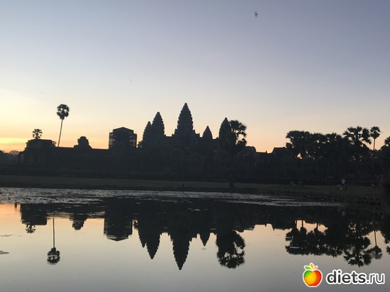 55 ����: ������ 2017. ��������