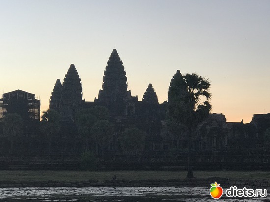 56 ����: ������ 2017. ��������