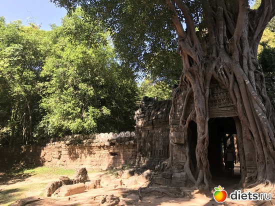 240 ����: ������ 2017. ��������