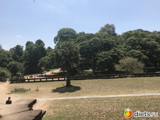 401 ����: ������ 2017. ��������