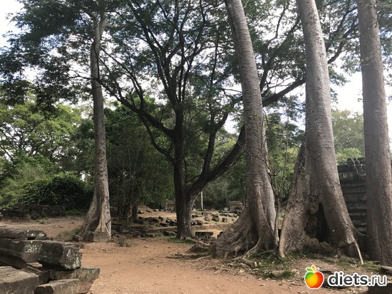 539 ����: ������ 2017. ��������