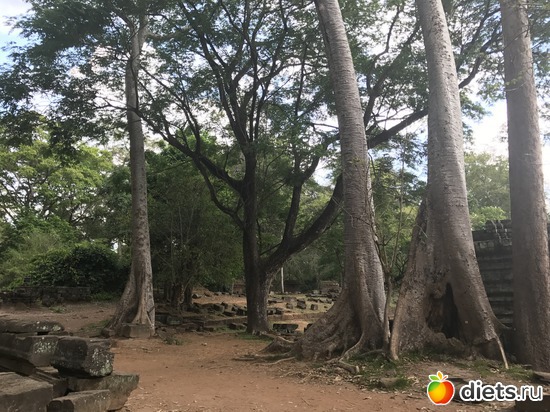 540 ����: ������ 2017. ��������