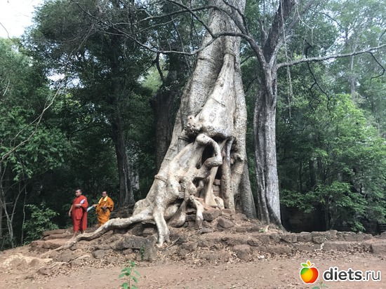 541 ����: ������ 2017. ��������