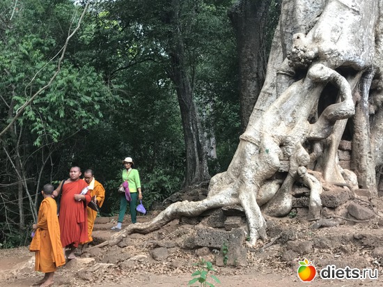 542 ����: ������ 2017. ��������