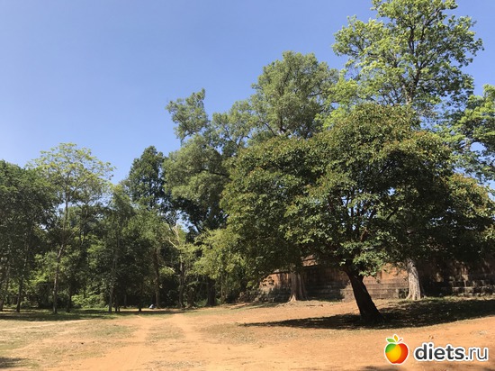 244 ����: ������ 2017. ��������