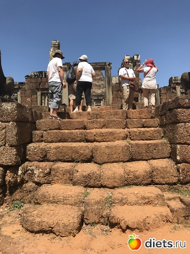 245 ����: ������ 2017. ��������