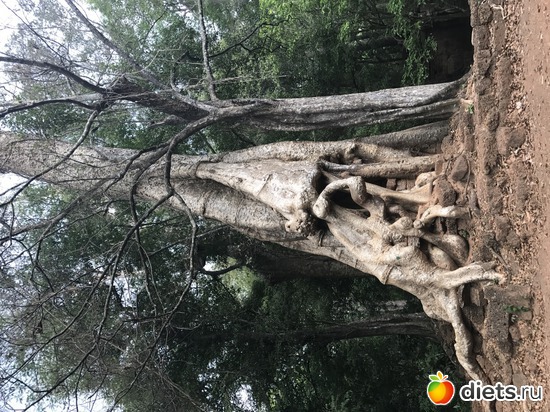 543 ����: ������ 2017. ��������