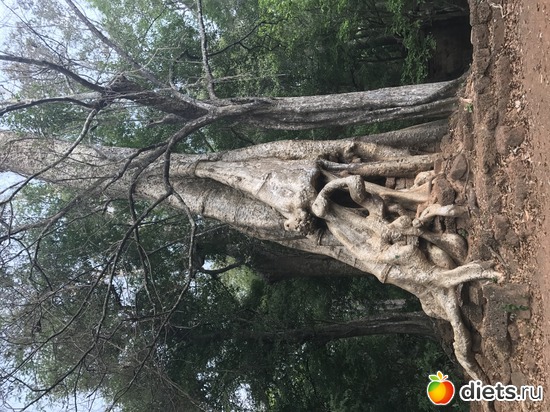 544 ����: ������ 2017. ��������