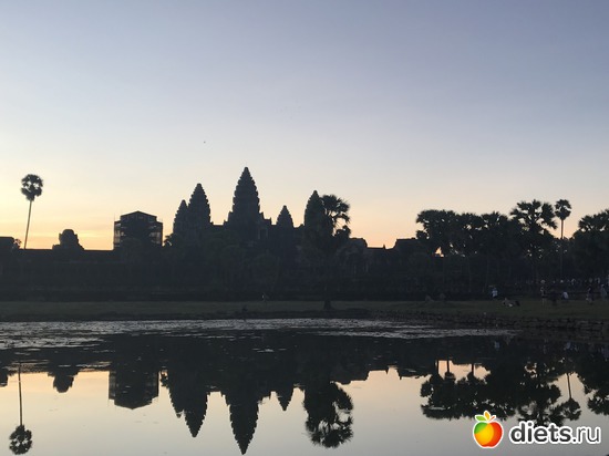 58 ����: ������ 2017. ��������