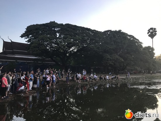 59 ����: ������ 2017. ��������