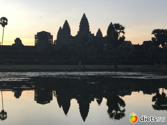 61 ����: ������ 2017. ��������