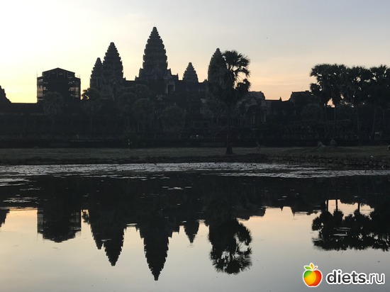 62 ����: ������ 2017. ��������