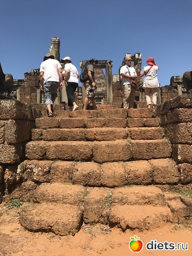 246 ����: ������ 2017. ��������