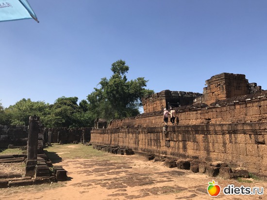 249 ����: ������ 2017. ��������