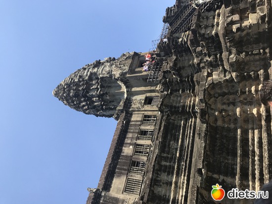 406 ����: ������ 2017. ��������