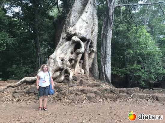 546 ����: ������ 2017. ��������