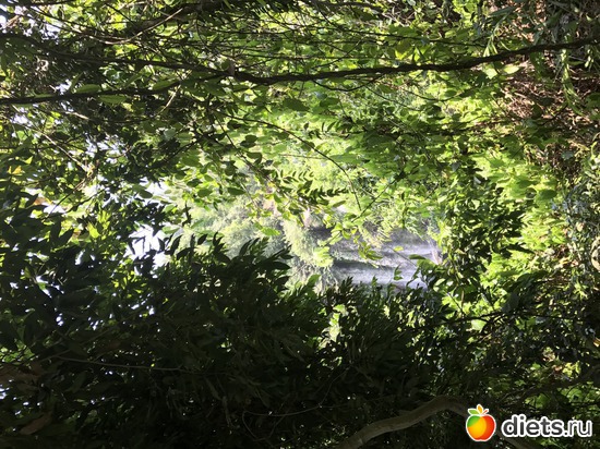 616 ����: ������ 2017. ��������