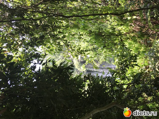 617 ����: ������ 2017. ��������