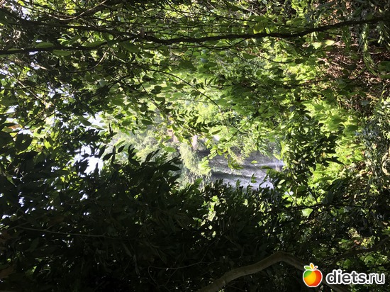 618 ����: ������ 2017. ��������