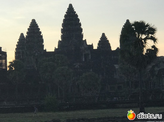 65 ����: ������ 2017. ��������