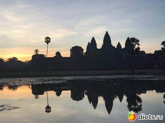 67 ����: ������ 2017. ��������