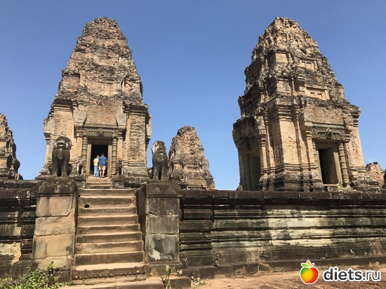 250 ����: ������ 2017. ��������