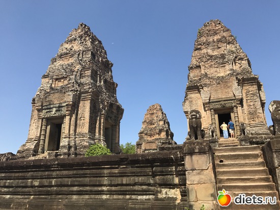 251 ����: ������ 2017. ��������