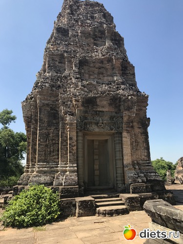 252 ����: ������ 2017. ��������