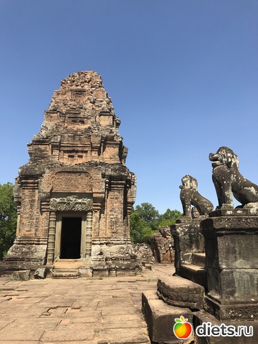 253 ����: ������ 2017. ��������