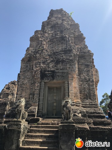 254 ����: ������ 2017. ��������