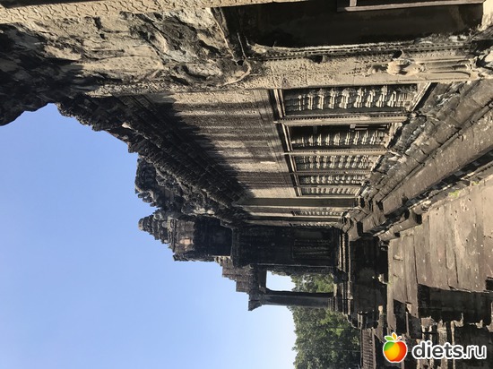 411 ����: ������ 2017. ��������