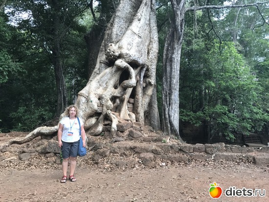 549 ����: ������ 2017. ��������