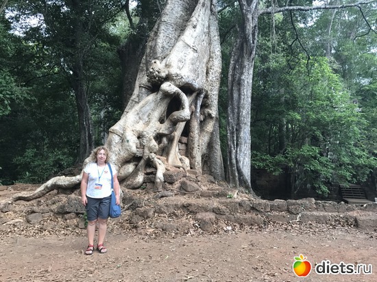 550 ����: ������ 2017. ��������