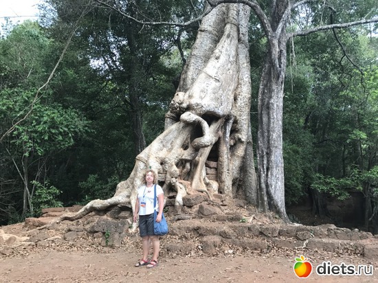 551 ����: ������ 2017. ��������