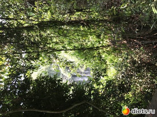 619 ����: ������ 2017. ��������