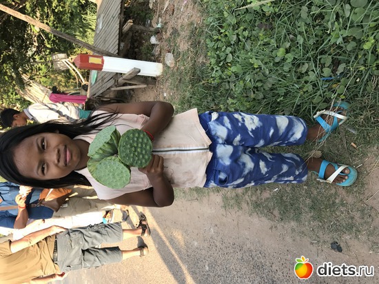 721 ����: ������ 2017. ��������